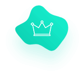 Pro Plan Icon