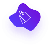 Elite Plan Icon
